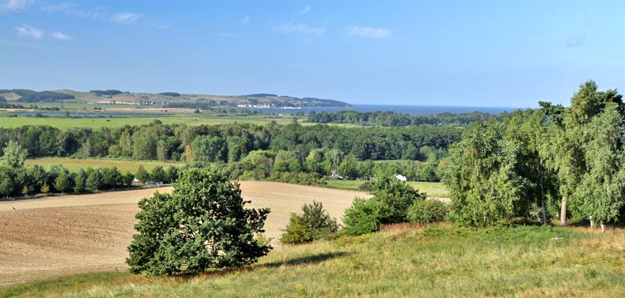 Natur erleben im Rügen-Urlaub in Göhren